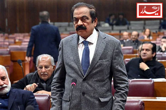 Rana_Sana_1782309389.JPG